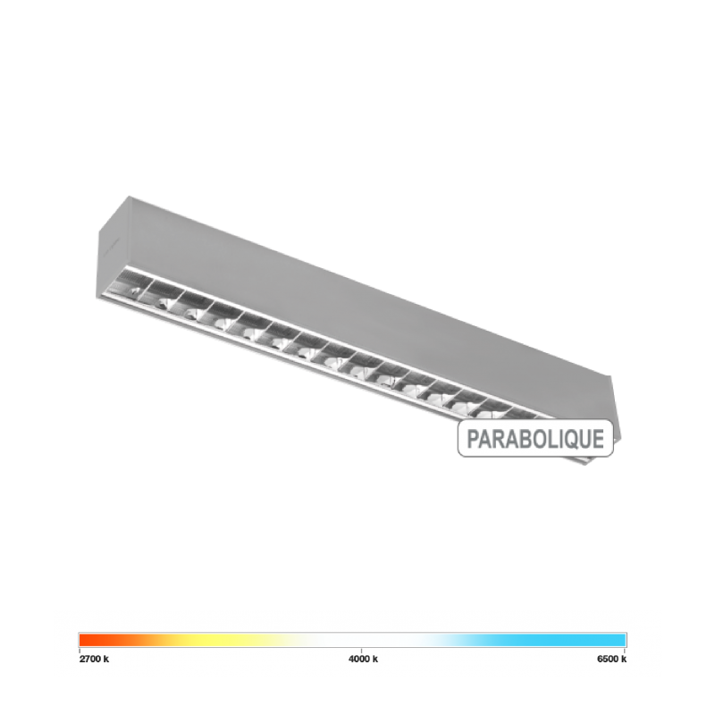 Suspension Start-S Parabolique TW